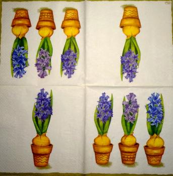 028 Daffodils,  Hyacinths,  Maigl�ckchen, Crocus